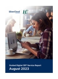 SilverCloud IE HSE Report 2023 PDF Brochure Image portrait